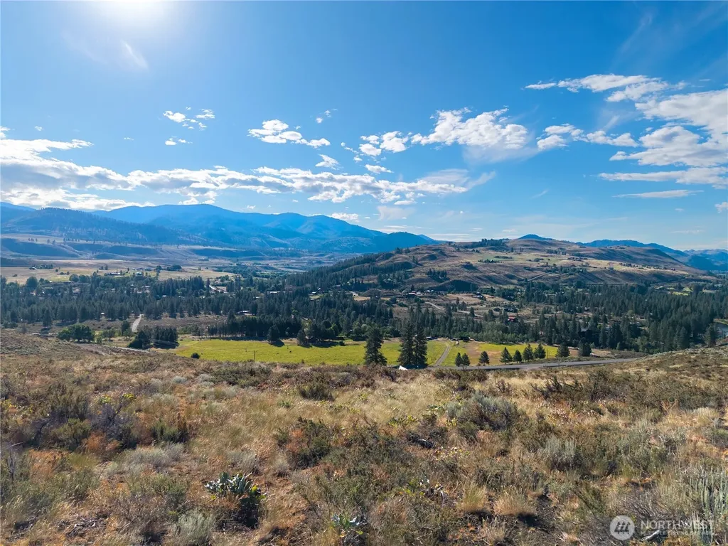 35 Chewuch Heights Road Winthrop WA 98862