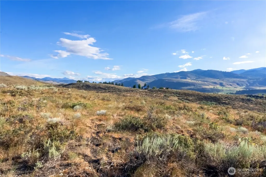 35 Chewuch Heights Road Winthrop WA 98862