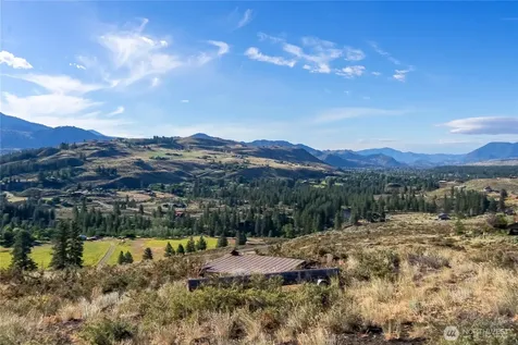 35 Chewuch Heights Road Winthrop WA 98862
