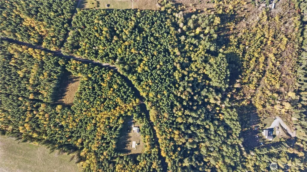 40320 32nd Avenue E Eatonville WA 98328