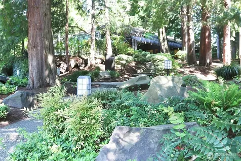 1354 Bellevue Way NE Bellevue WA 98004
