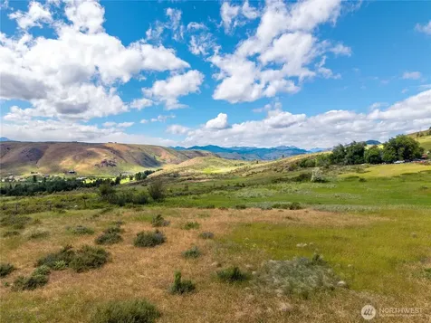 0 Bear Creek Road Winthrop WA 98862