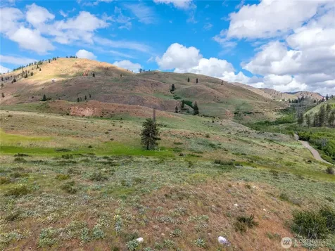 0 Bear Creek Road Winthrop WA 98862