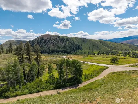 0 Bear Creek Road Winthrop WA 98862
