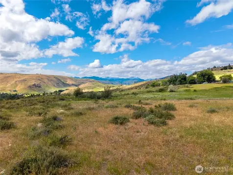 0 Bear Creek Road Winthrop WA 98862