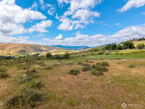 0 Bear Creek Road Winthrop WA 98862