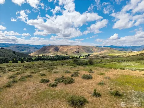 0 Bear Creek Road Winthrop WA 98862