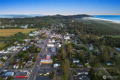 4202 L Place Seaview WA 98641