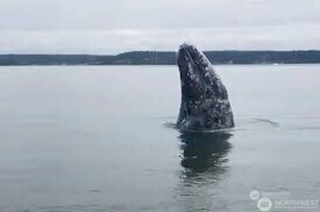 94 -F Tulalip Way Hat Island WA 98260