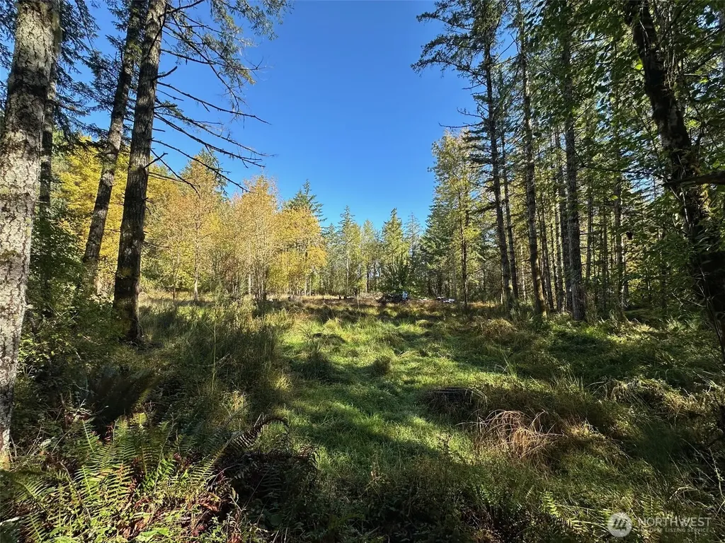 6191 E Pickering Road Shelton WA 98584