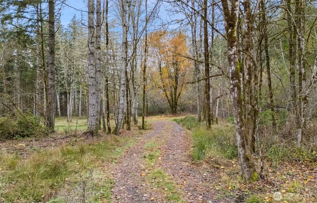 6191 E Pickering Road Shelton WA 98584