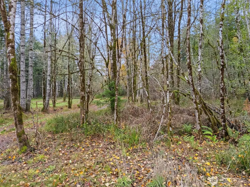 6191 E Pickering Road Shelton WA 98584