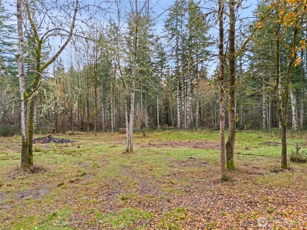 6191 E Pickering Road Shelton WA 98584