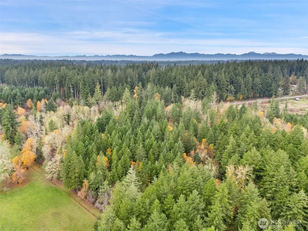 6191 E Pickering Road Shelton WA 98584