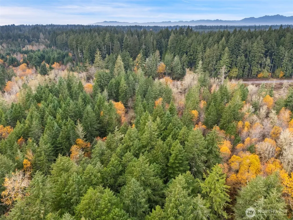 6191 E Pickering Road Shelton WA 98584