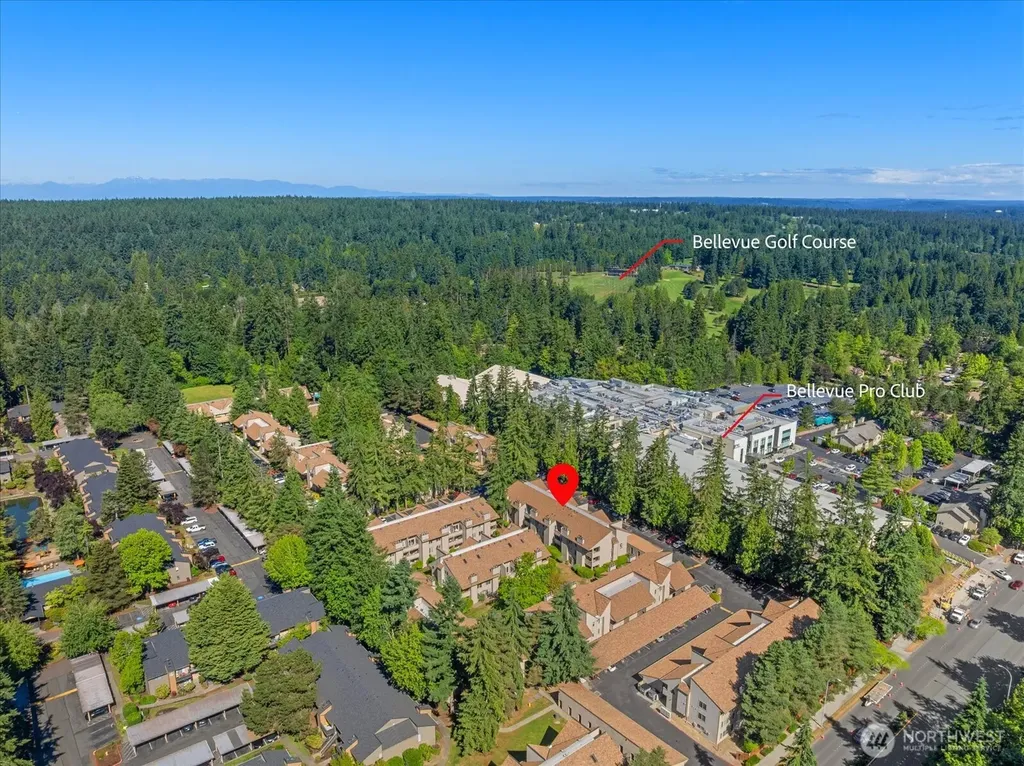 14636 45th Street Bellevue WA 98007