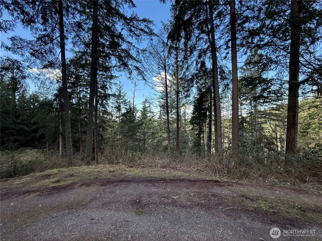 1546 Reservation Road SE Olympia WA 98513