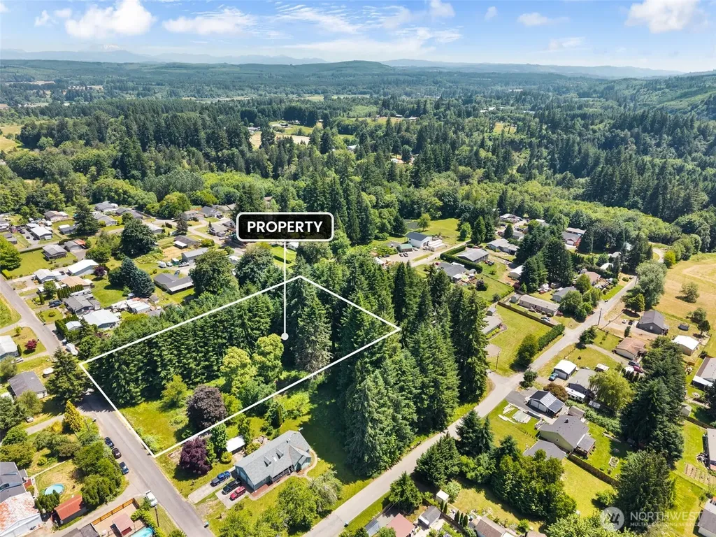 0 9th Street Vader WA 98593