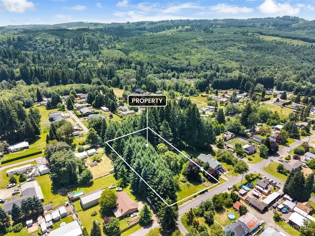 0 9th Street Vader WA 98593
