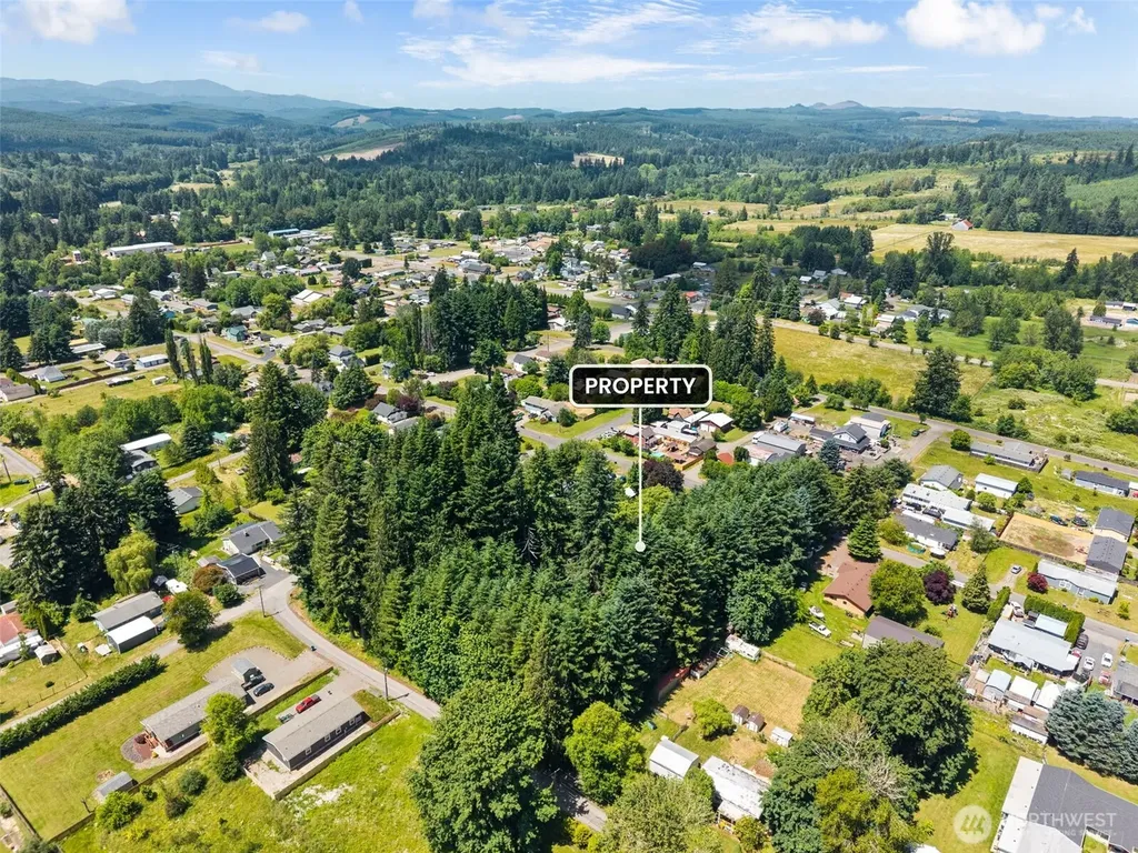 0 9th Street Vader WA 98593