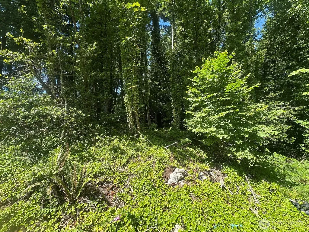 0 W Harvard Avenue Shelton WA 98584