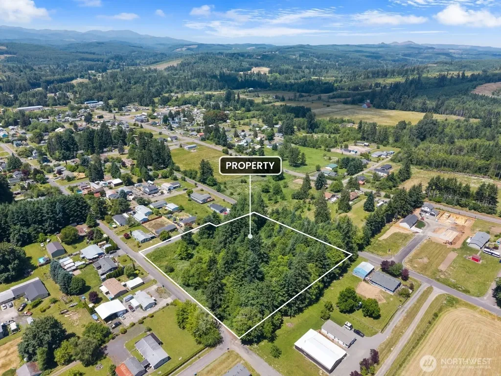0 8th Street Vader WA 98593