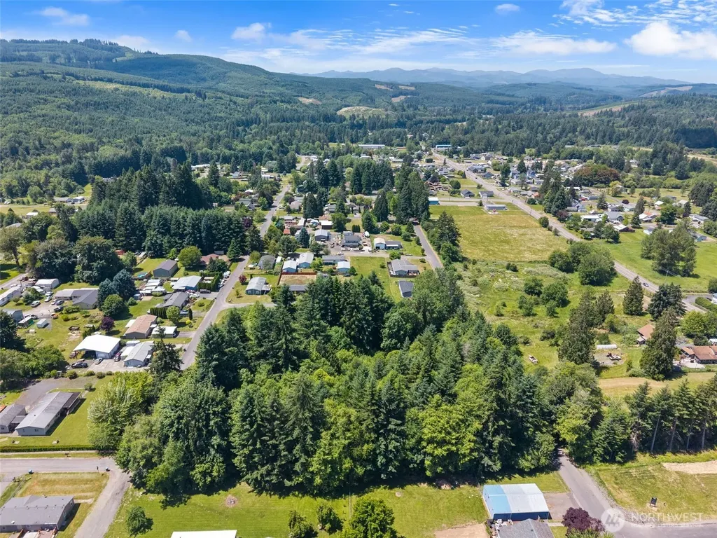 0 8th Street Vader WA 98593