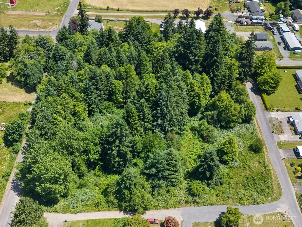 0 8th Street Vader WA 98593