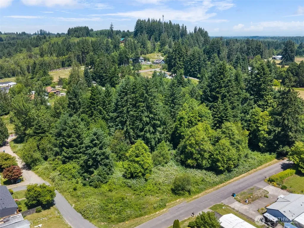 0 8th Street Vader WA 98593