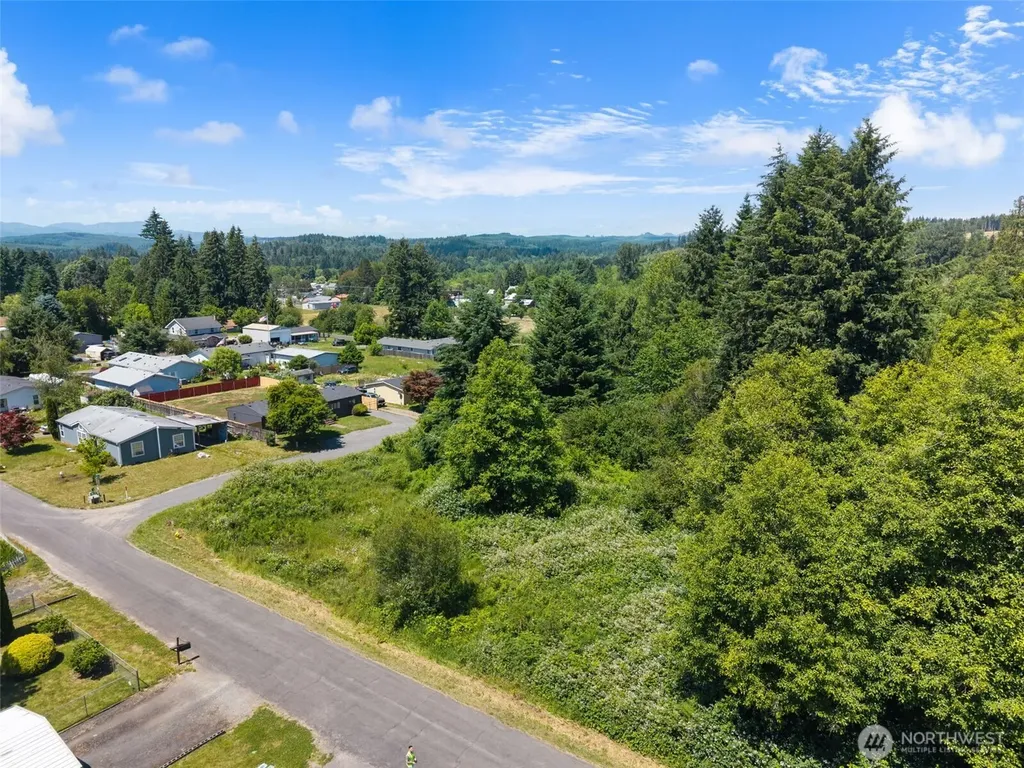 0 8th Street Vader WA 98593