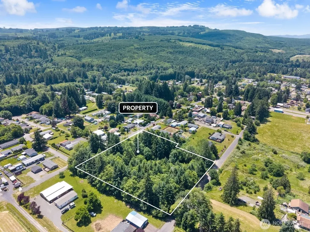 0 8th Street Vader WA 98593