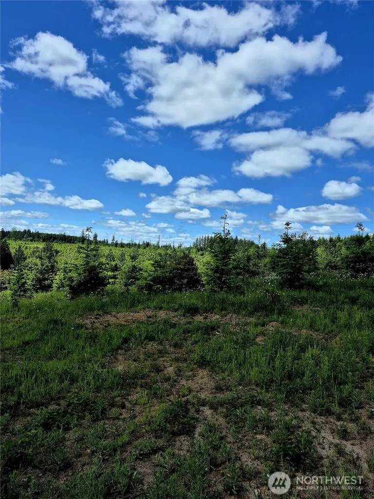 0 Macomber Road W Chehalis WA 98532