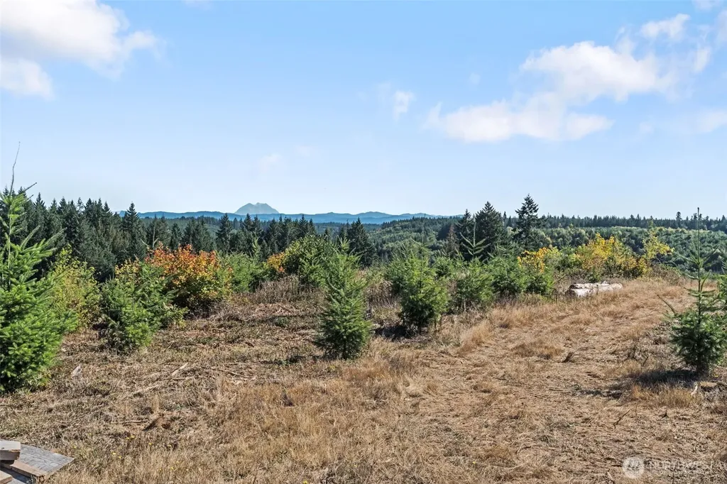 0 Macomber Road W Chehalis WA 98532