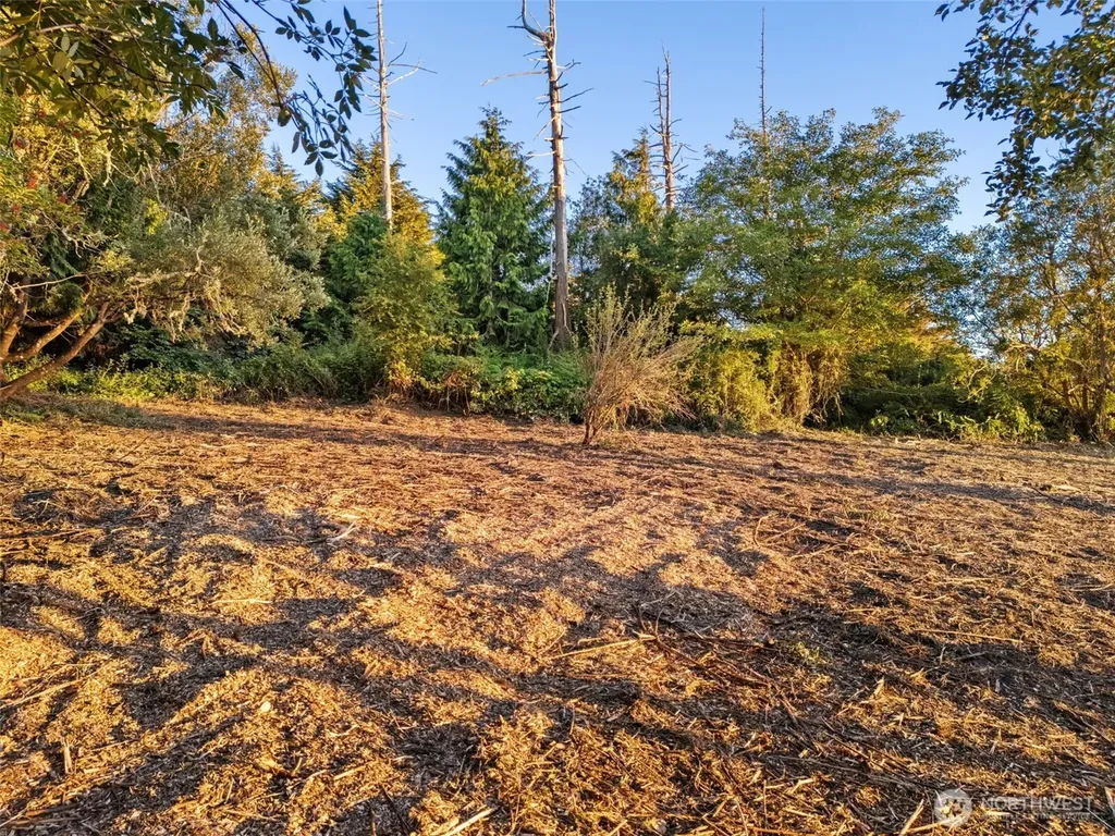 0 Haada Laas Port Townsend WA 98368