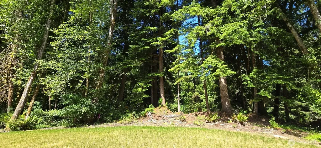 553 Upper Naselle Road Naselle WA 98638