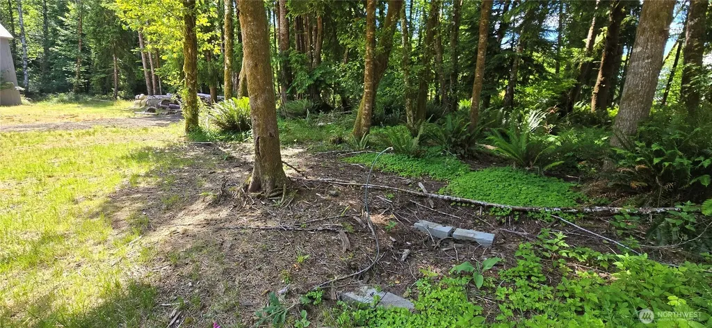553 Upper Naselle Road Naselle WA 98638