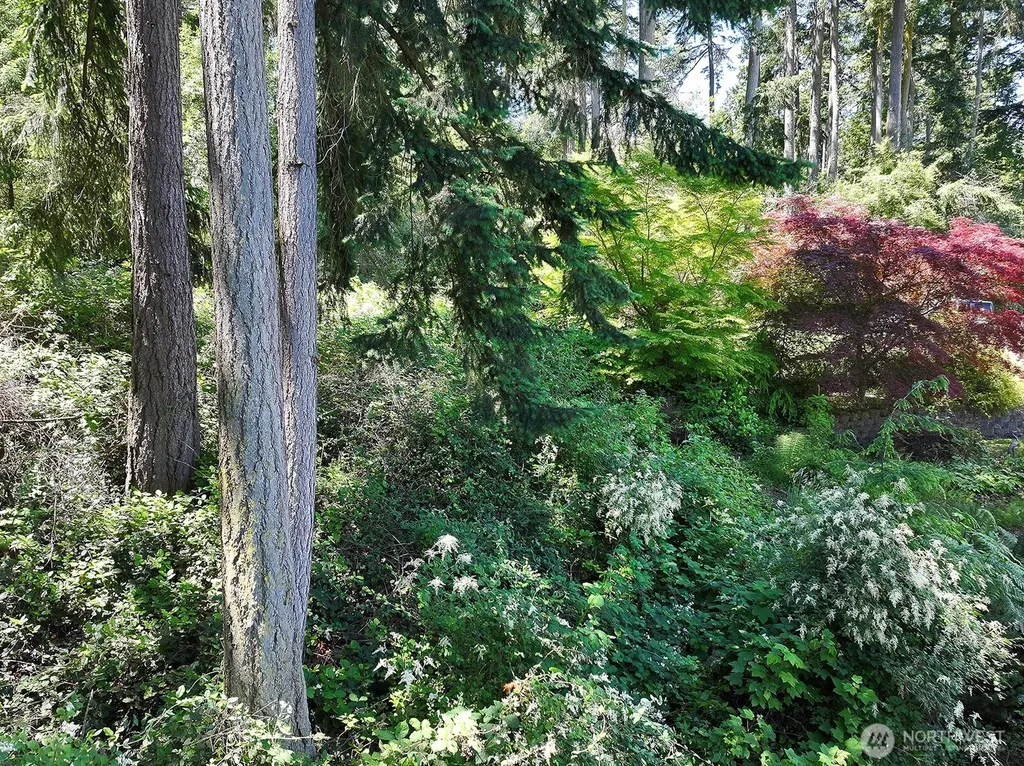 0 Belvedere Place Coupeville WA 98239