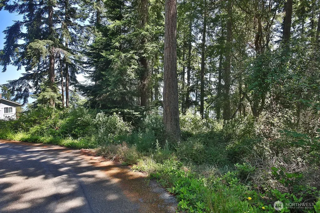 0 Belvedere Place Coupeville WA 98239
