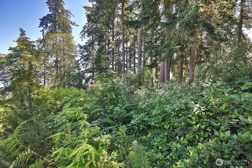 0 Belvedere Place Coupeville WA 98239