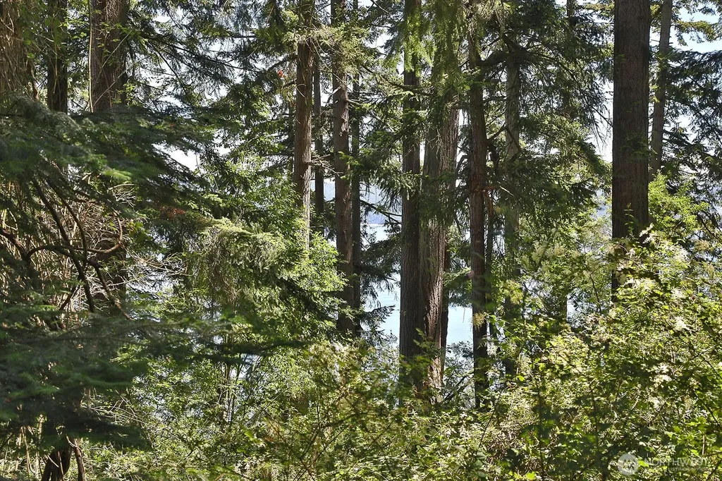 0 Belvedere Place Coupeville WA 98239