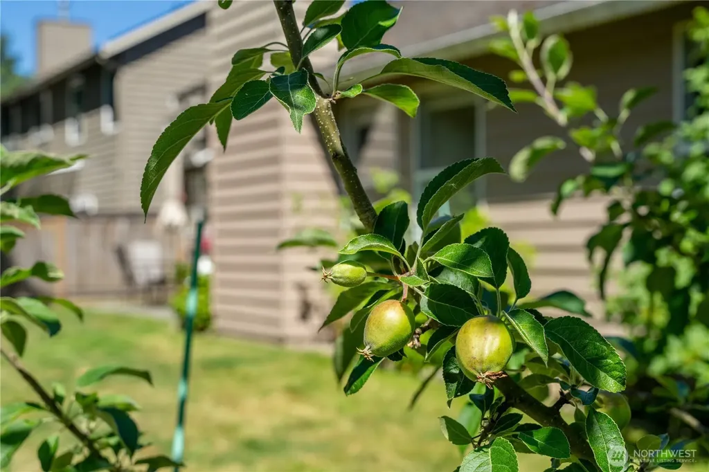 13810 56th Drive SE Everett WA 98208