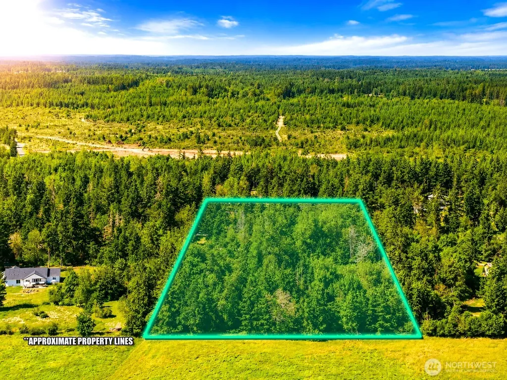 19509 161st Way SE Yelm WA 98597
