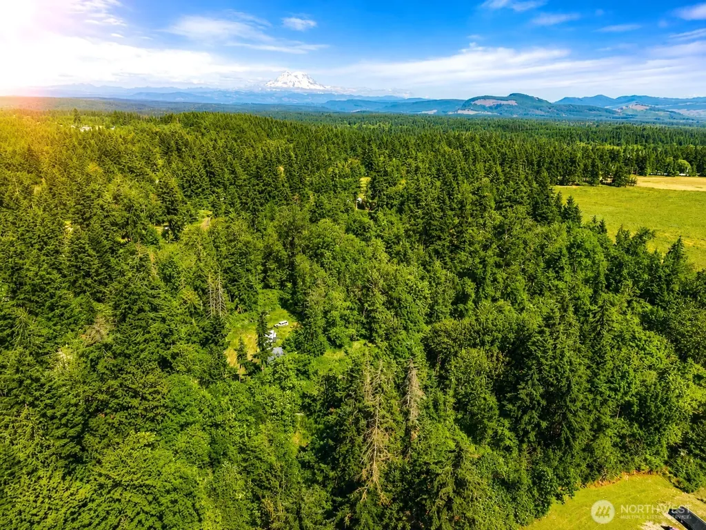 19509 161st Way SE Yelm WA 98597
