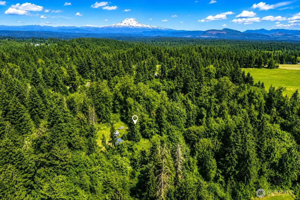 19509 161st Way SE Yelm WA 98597