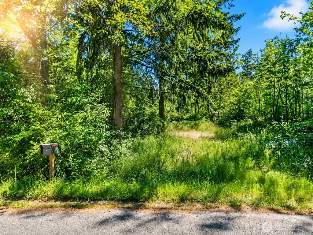 19509 161st Way SE Yelm WA 98597