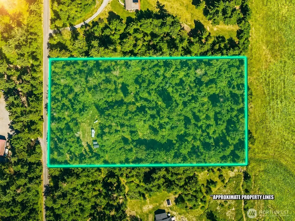 19509 161st Way SE Yelm WA 98597