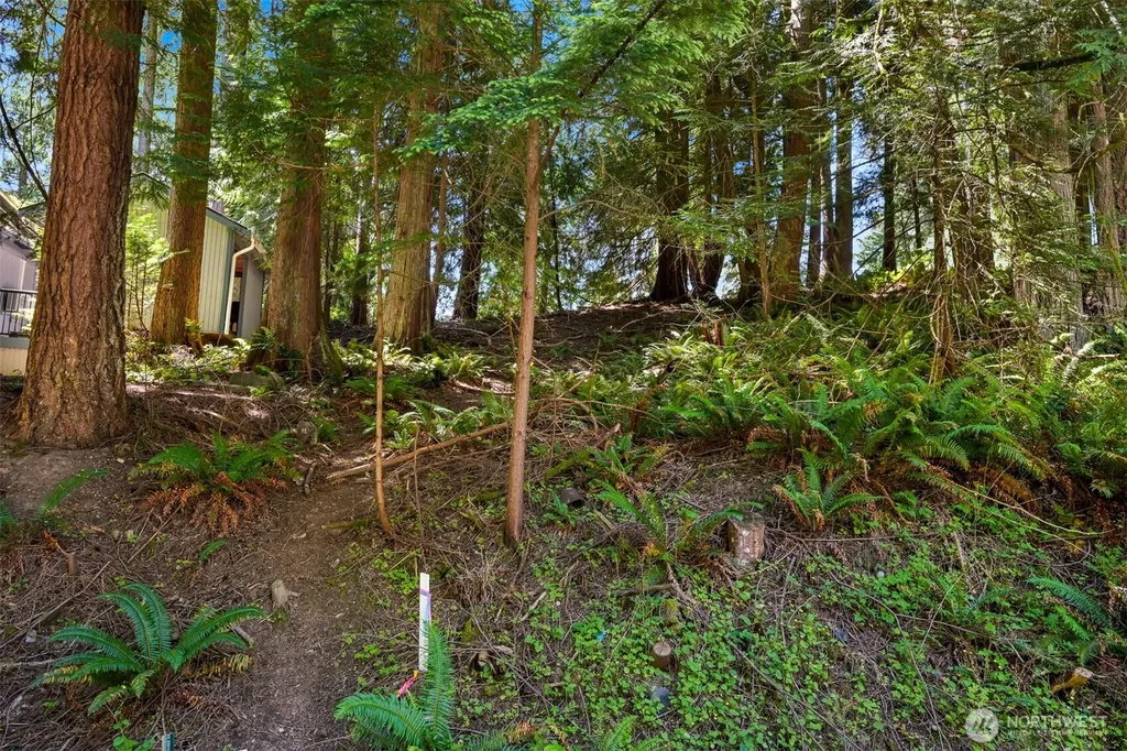 30 Canyon Court Bellingham WA 98229