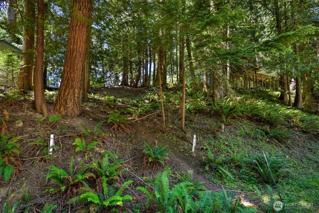 30 Canyon Court Bellingham WA 98229