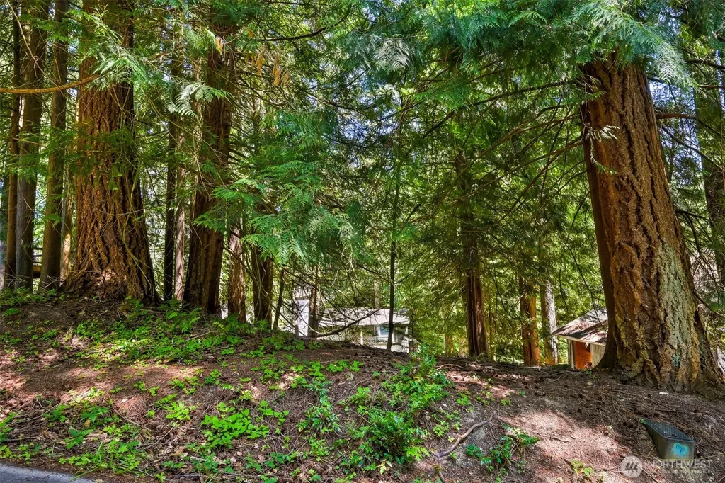 30 Canyon Court Bellingham WA 98229