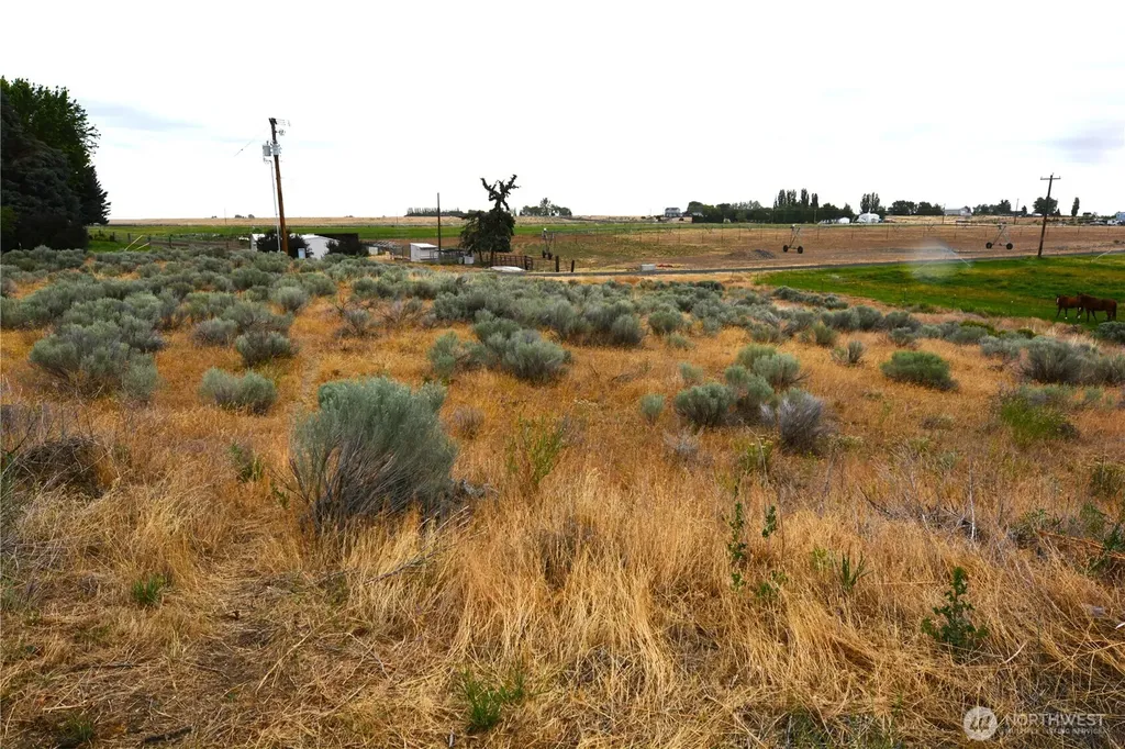 4828 Road 3.7 NE Moses Lake WA 98837